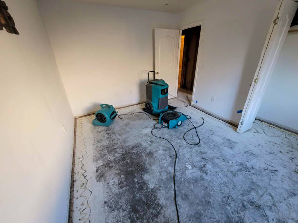 Best Water damage cleanup near me  in Medulla, FL