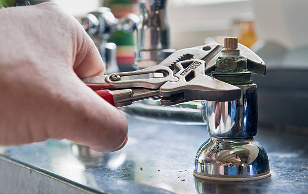 Water damage restoration mold remediation in Medulla, FL