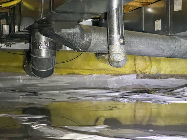 Best Flood damage cleanup  in Medulla, FL