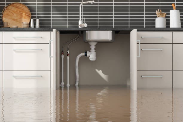 Best Flooded house restoration  in Medulla, FL